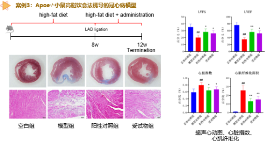 97����-����Ʒ��,Դ������