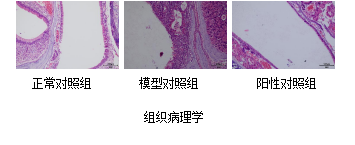 97����-����Ʒ��,Դ������